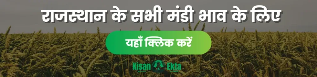 राजस्थान मंडी भाव Rajasthan Mandi Bhav