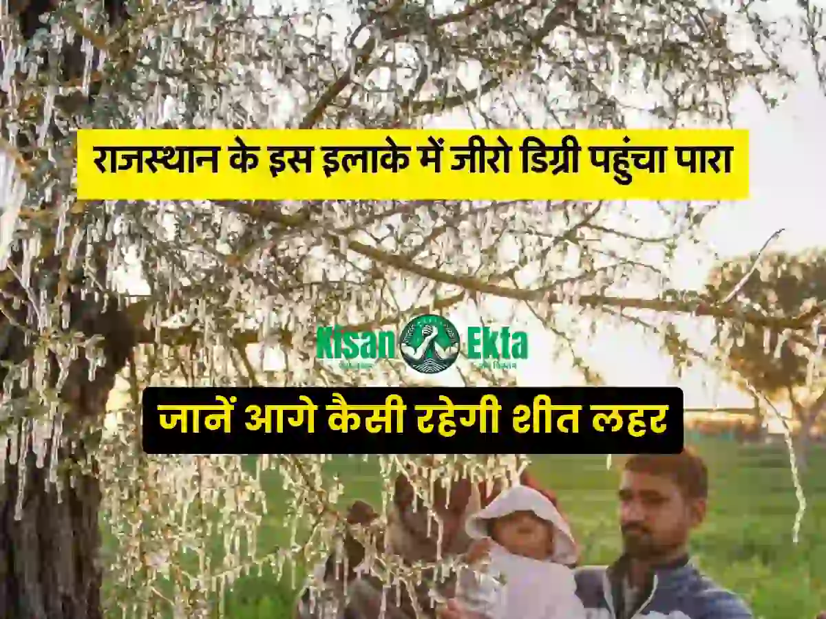 rajasthan weather update temprature dropped