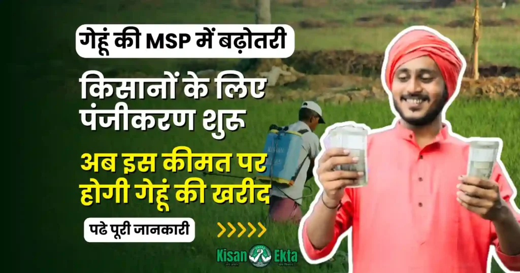 wheat MSP increased