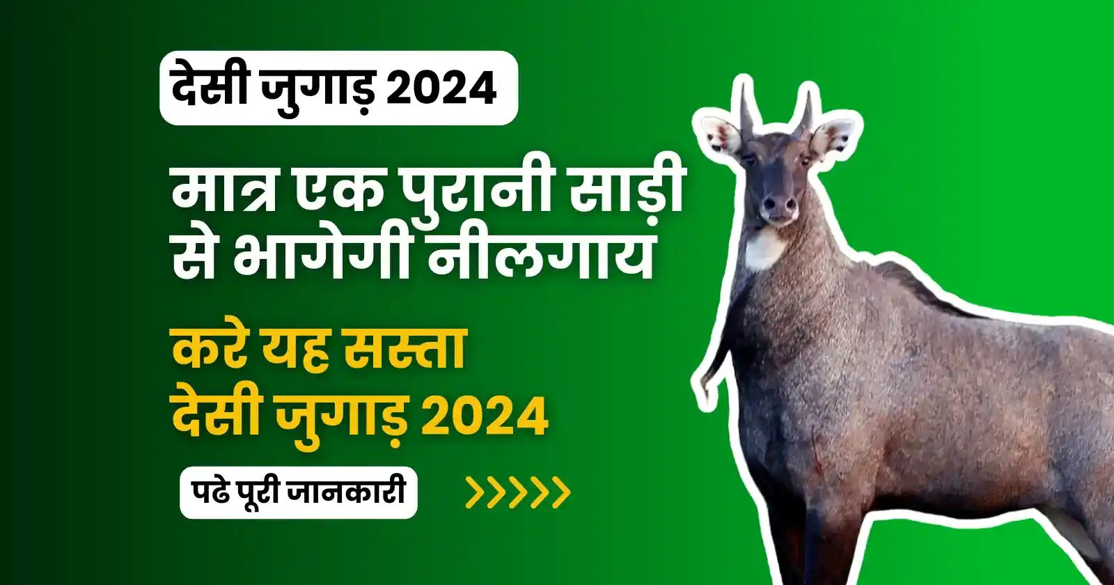 nilgai desi jugad 2024