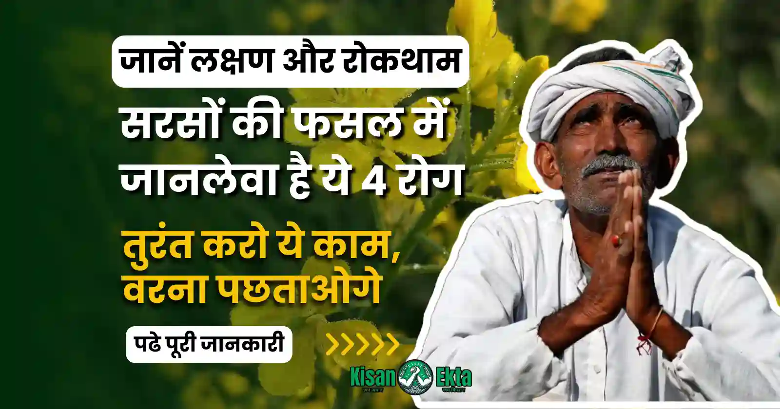 sarso ki kheti me rog