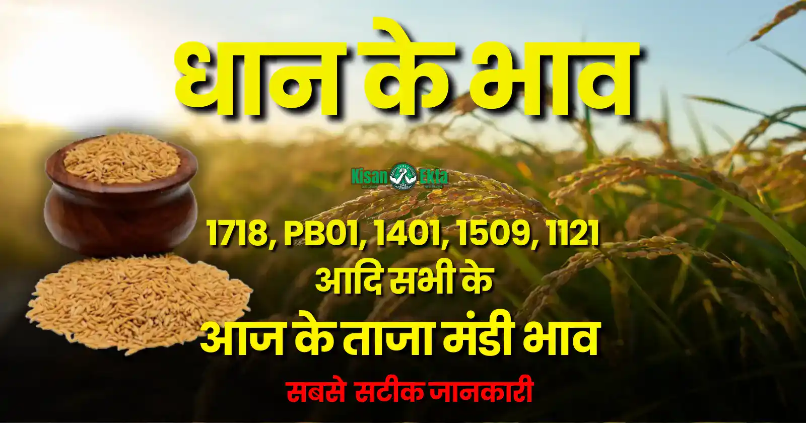 Dhan Mandi Bhav, Dhan Ka Bhav, Dhan Ka Rate