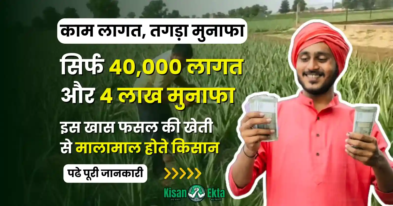 Farmers become rich by cultivating this special crop