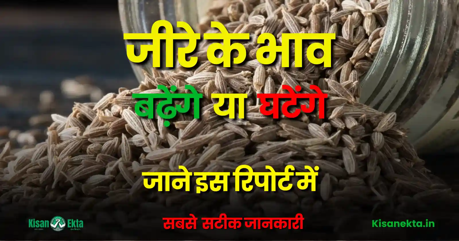 Jeera Teji Mandi Report