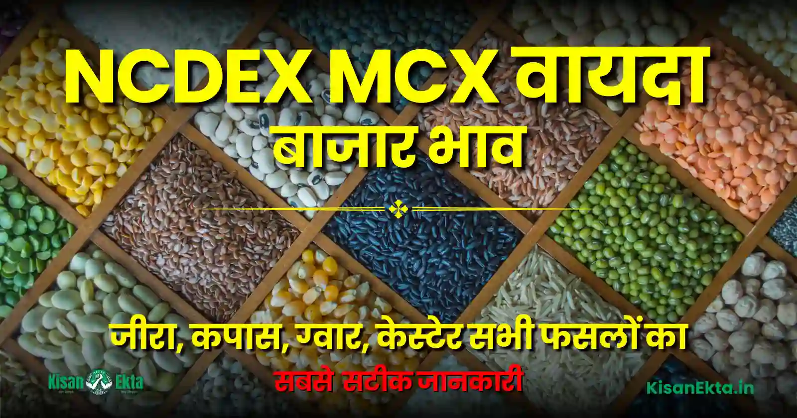 MCX NCDEX Live