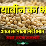 Soyabean Rate Today