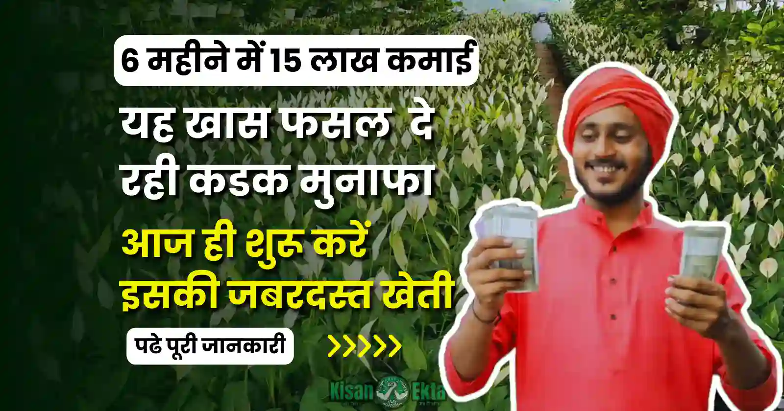 this special crop will give Rs 15 lakh income in 6 months