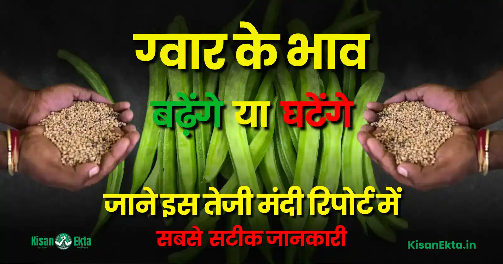 Guar Teji Mandi Report