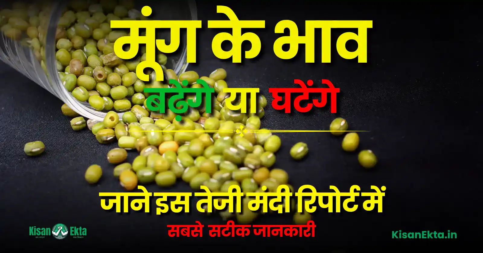 Moong Teji Mandi Report