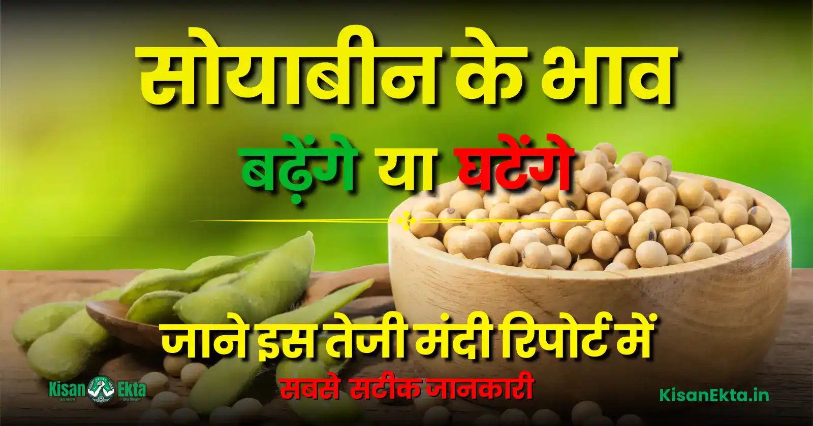 Soyabean Teji Mandi Report